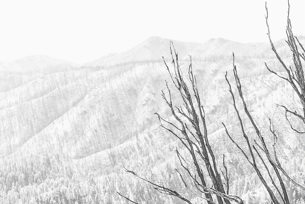 Gila Pass ~ 2014