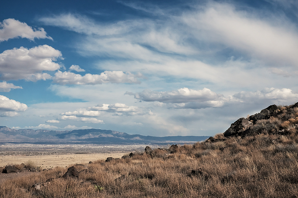High Desert - New Mexico